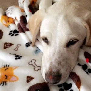 Meet your Posher, Phena